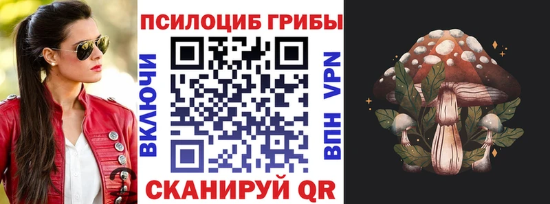 Псилоцибиновые грибы Magic Shrooms  Волгореченск 